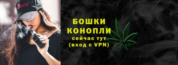 ГАЛЛЮЦИНОГЕННЫЕ ГРИБЫ Белокуриха