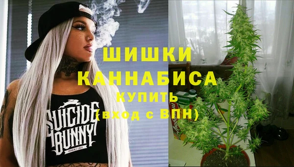 ГАЛЛЮЦИНОГЕННЫЕ ГРИБЫ Белокуриха