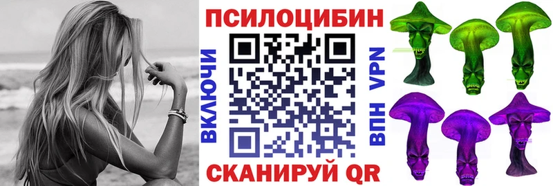 blacksprut онион Вельск Псилоцибиновые грибы Psilocybe наркотики